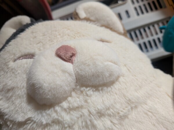 向ってます〜😊