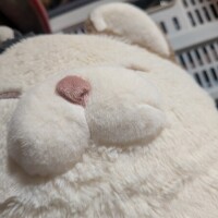 向ってます〜😊