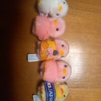 ぴよりーな🐥✨