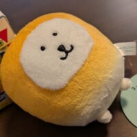 シャキコーン