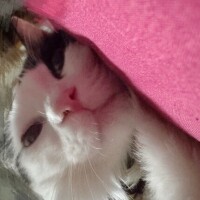 まったりday