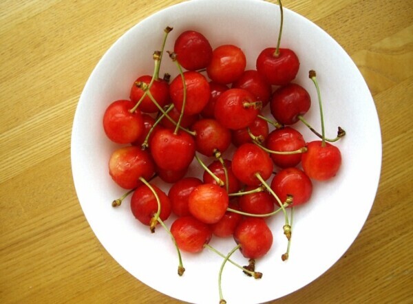 初物🍒