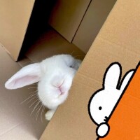 ありがとうございました✨