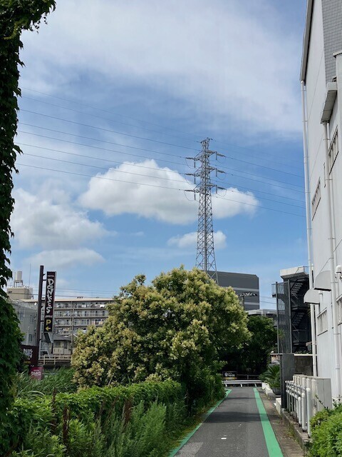 今日は昼間お散歩