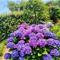 アロマでリラックス♪