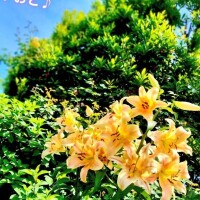 あまり書かないこと書いてみました笑