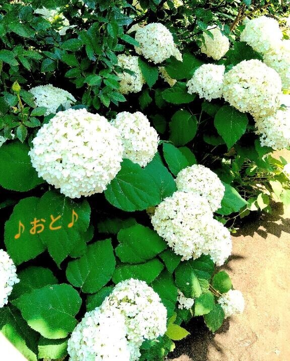 この後、続かないと良いな