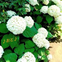 この後、続かないと良いな