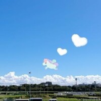6/25 Yさま お礼? 今頃新幹線かな?