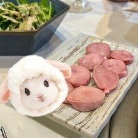 寝不足??