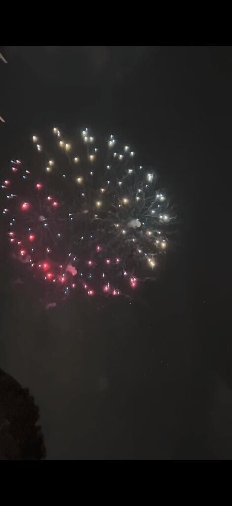 お祭り行きたい?