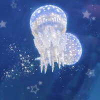 9/18 Ｋさま お礼? 全身敏感で可愛かった?