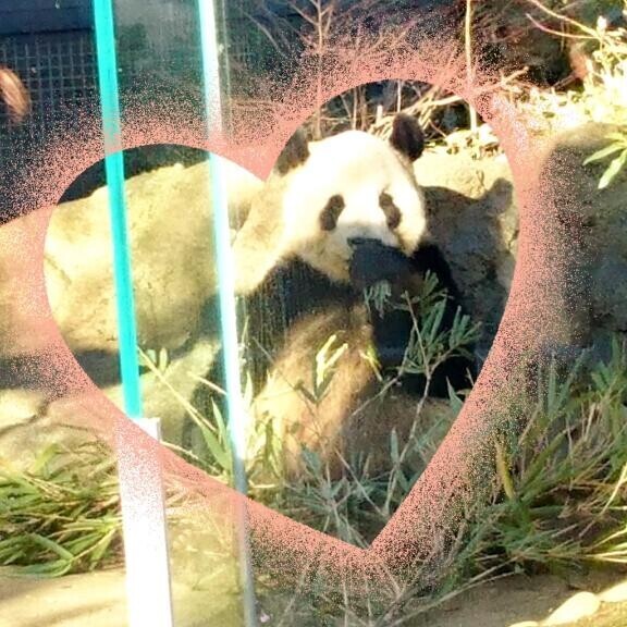9/29 Ｋさま お礼? ちゃんと動物園にも行くよ?