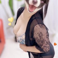 犬派？猫派？