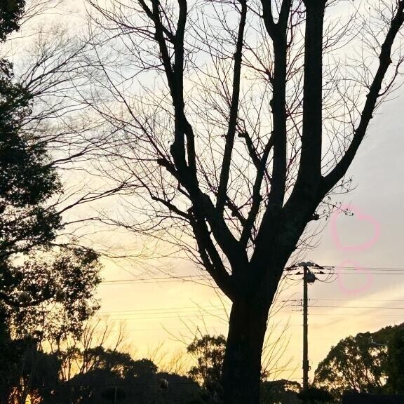 10/28 Hさま お礼?  優しすぎて心配?