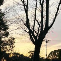 10/28 Hさま お礼?  優しすぎて心配?