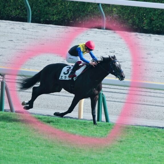 10/6 Ｔさま お礼? 目指せ万馬券?