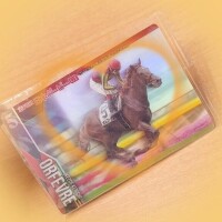 11/13 Yさま お礼?  推し馬が一緒で嬉しい?