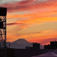 どんな色が好き？