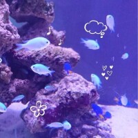 11/24 Ｋさま お礼?　気づいてくれて嬉しい?