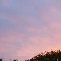 【急募】抽選運?