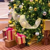 11/27 Nさま お礼? お仕事お疲れ様です?