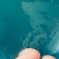 思い出だいにだん