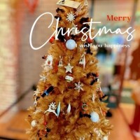 世界一可愛いクリスマスツリー?