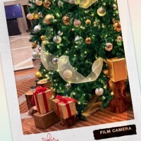 12/24? Sさま お礼? 明日からストレッチ！