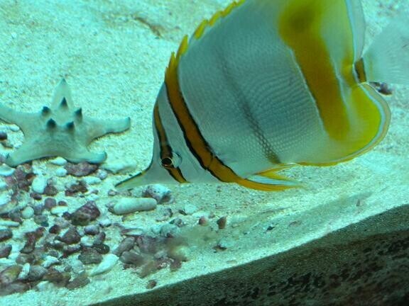 あたためて欲しいな