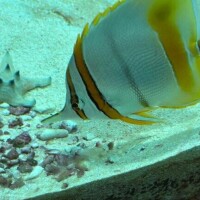 あたためて欲しいな