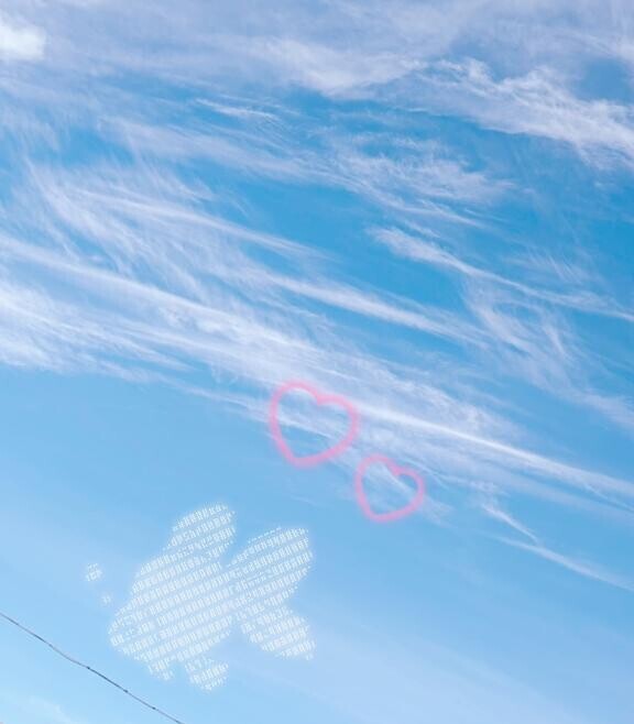 1/23 Nさま お礼? ぐっすりおやすみなさい?