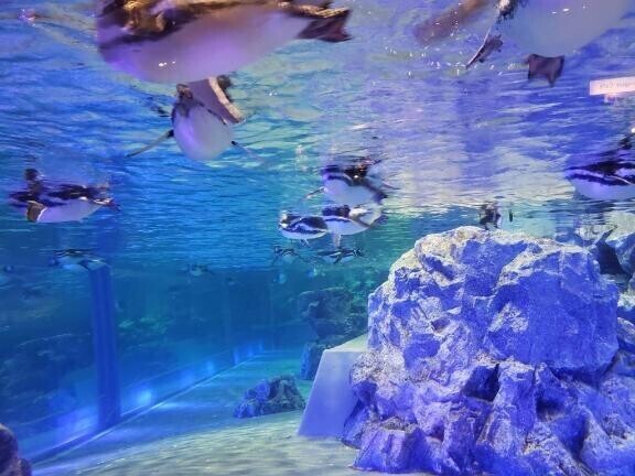 強い女性に憧れる?