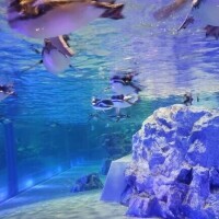 強い女性に憧れる?