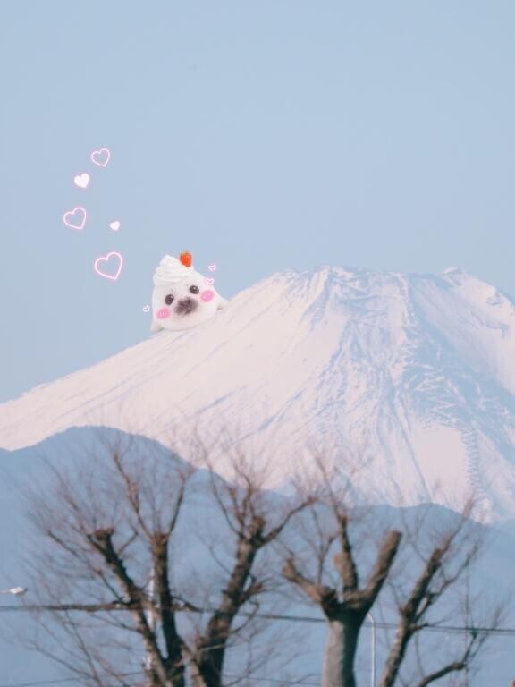 2/7 Yさま お礼? 暖かくして休んでね?