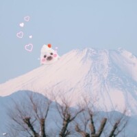 2/7 Yさま お礼? 暖かくして休んでね?