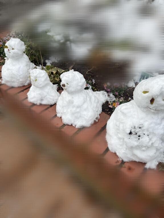 まだわくわくしちゃう