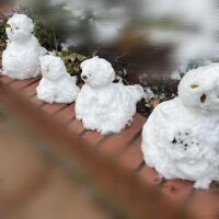 まだわくわくしちゃう