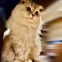 冬もあと少しですね！今月も♪おとく♪があるみたいですのでお早めに