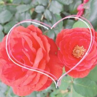 2/19 Hさま お礼? 近くにコンビニあったよ！