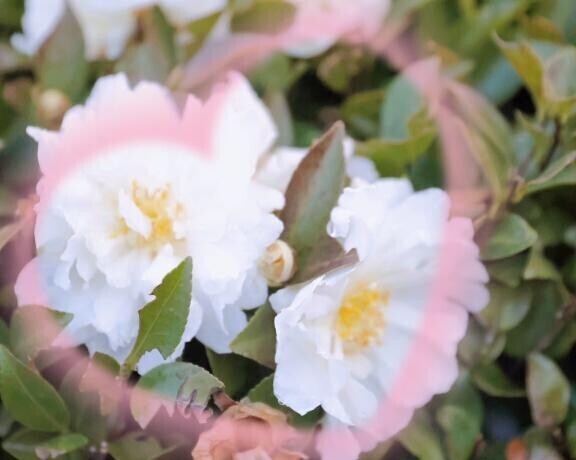 2/20 Mさま お礼? 夜のお仕事もがんばってね?