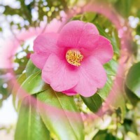 2/25  Yさま お礼? おすすめストレッチ試してね?