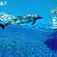 マッサージ好きの皆様にも悶絶して頂けるように頑張ります！