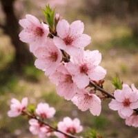 お礼/春が近い年度終わり…疲れていませんか？