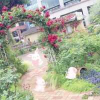 3/10 Ｔさま お礼? 明日も頑張ろー！?