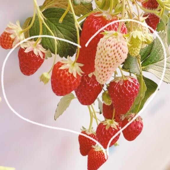 3/12 Ｋさま お礼? ゆっくりおやすみなさい?