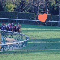 3/24 Oさま お礼? 去年の有馬をお裾分け?