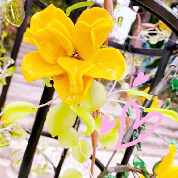 3/25 Oさま お礼? まったり過ごせて楽しかった?