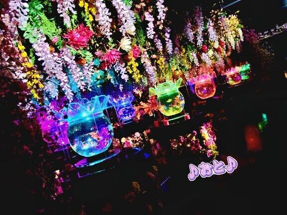 最近 気づいたら 寝てしまっているんですよね笑