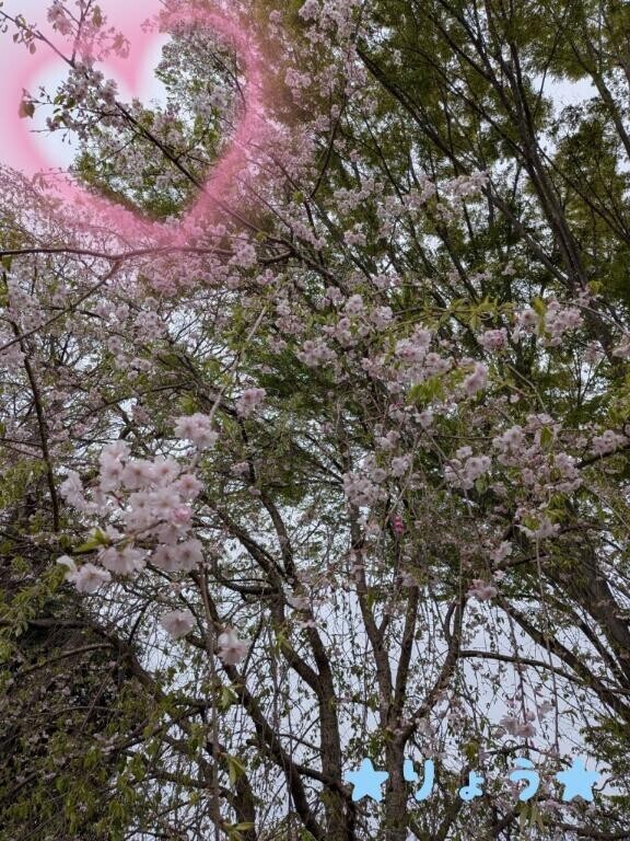 記載オプション以外もちゃんとサービスしてるもん＞＜